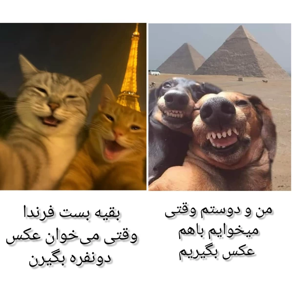 عکس
