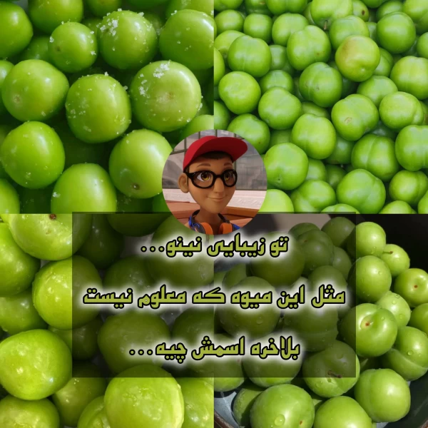 عکس