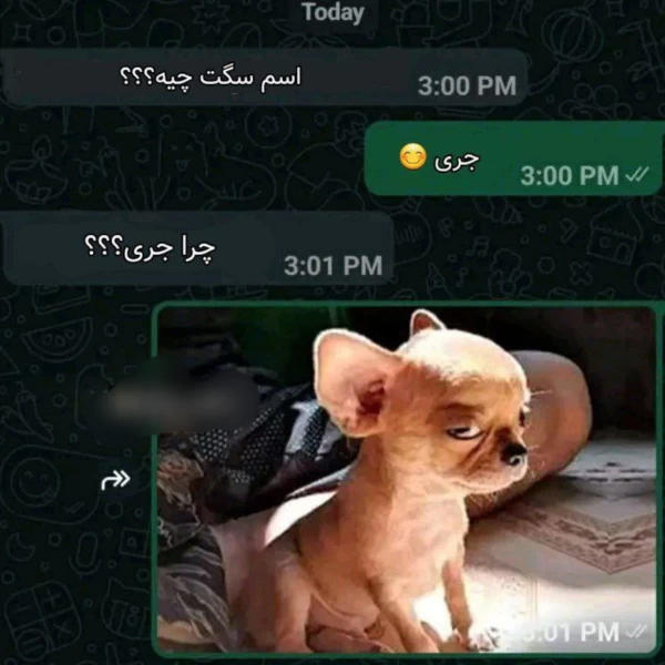 عکس