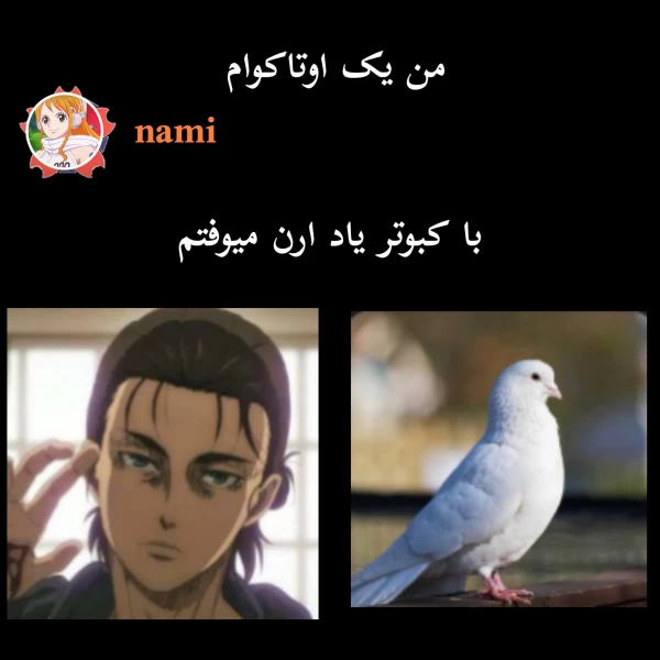 عکس