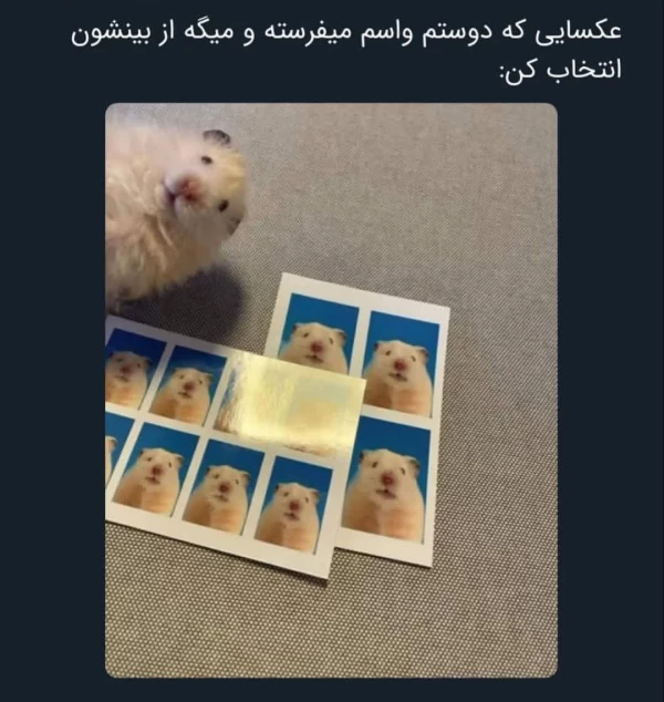 عکس