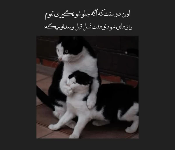 عکس