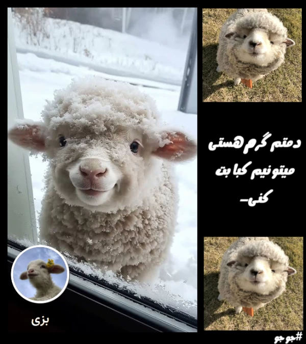 عکس