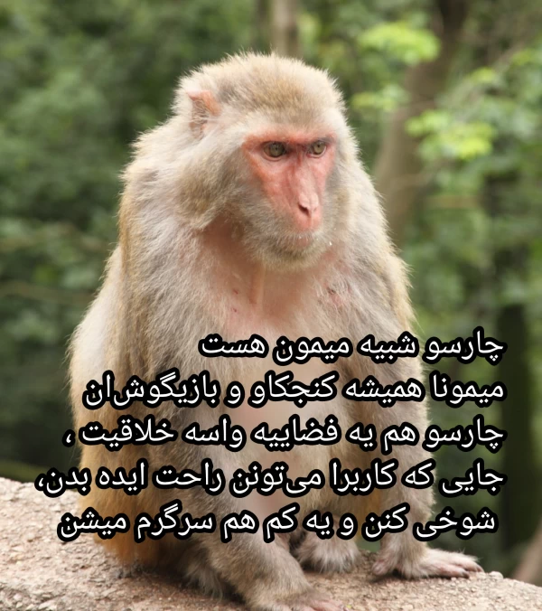 عکس