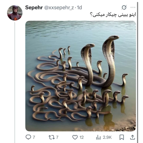 عکس