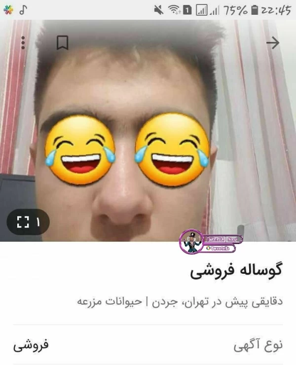 عکس