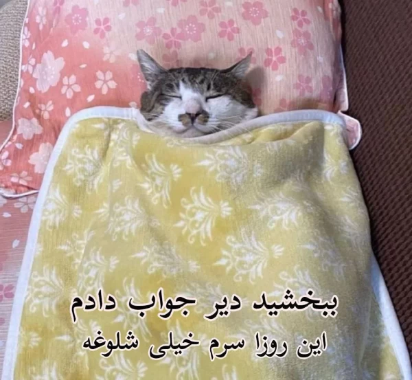 عکس