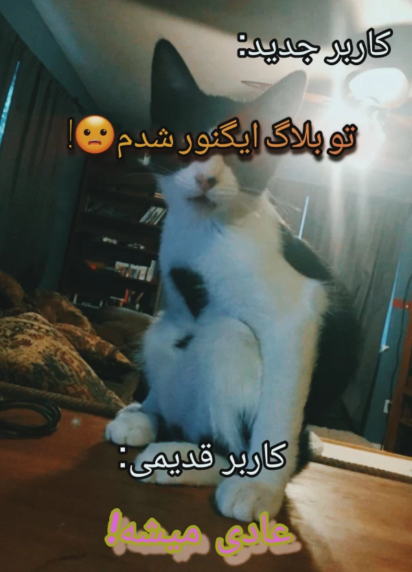 عکس