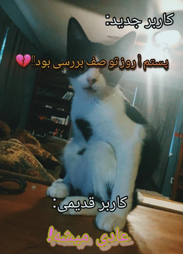 عکس