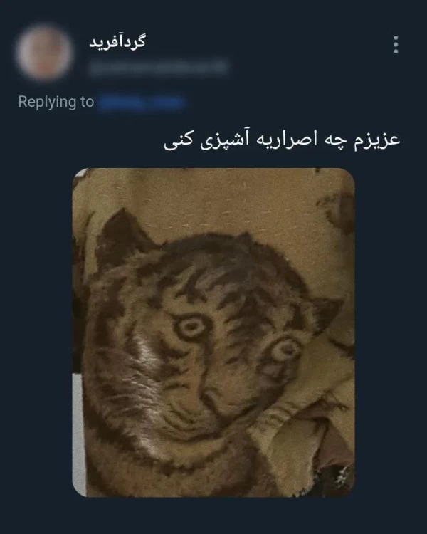 عکس