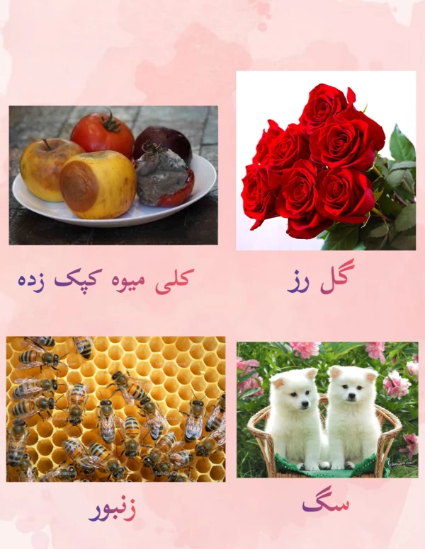 عکس