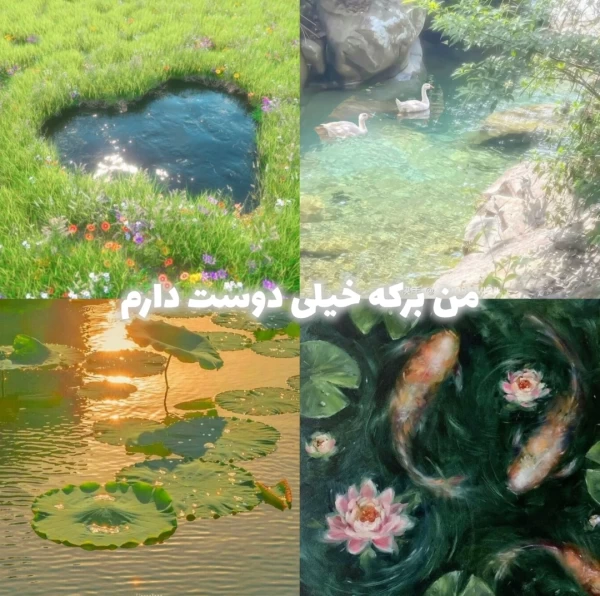 عکس