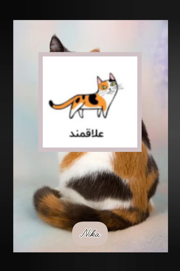 عکس