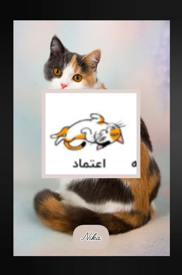 عکس