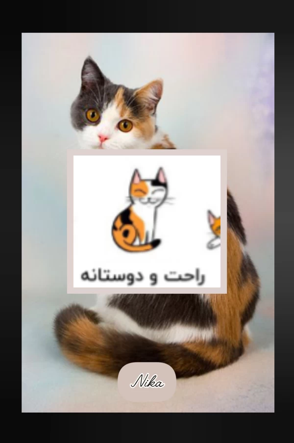 عکس