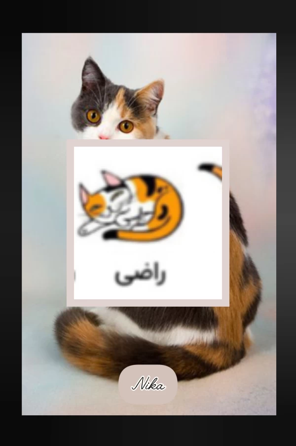 عکس