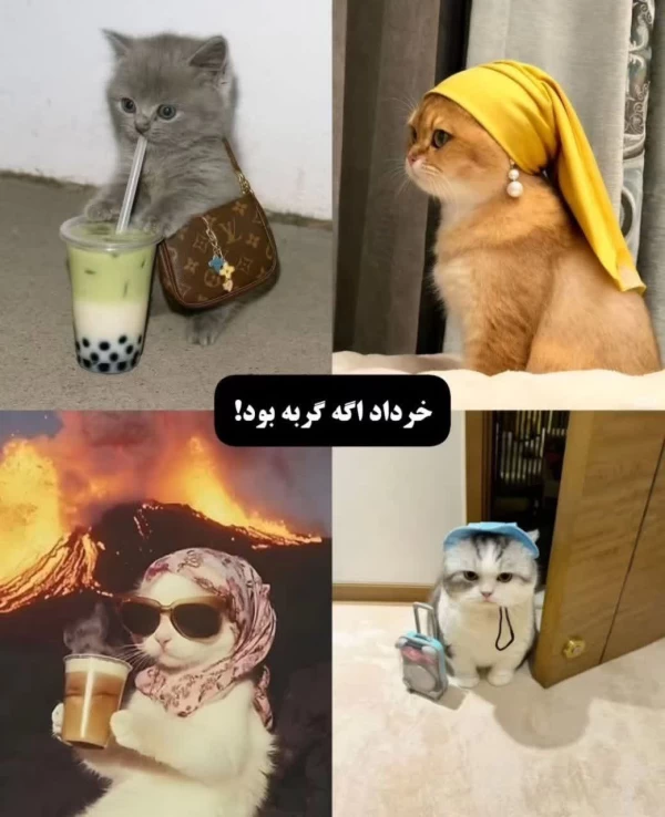 عکس