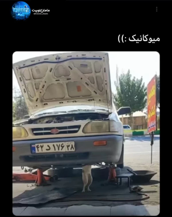 عکس