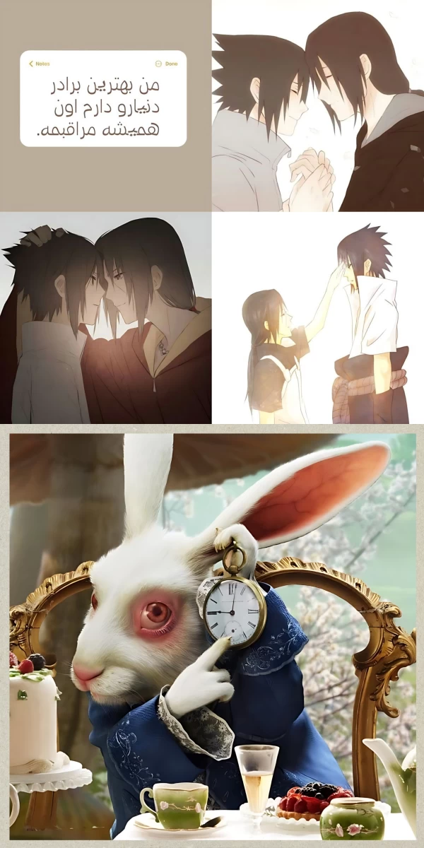 عکس