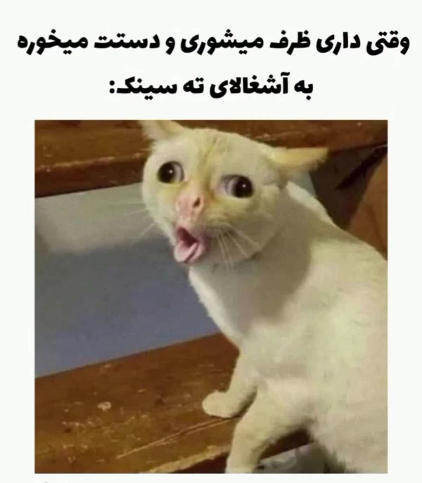 عکس