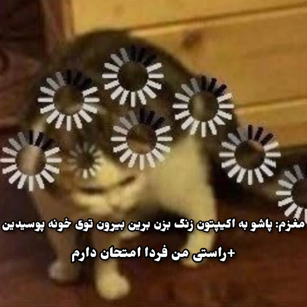 عکس