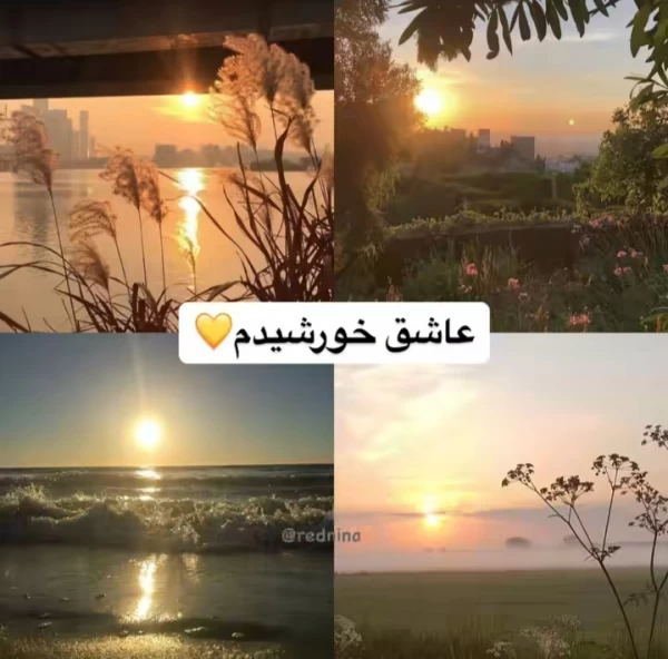 عکس