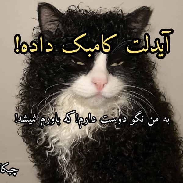 عکس