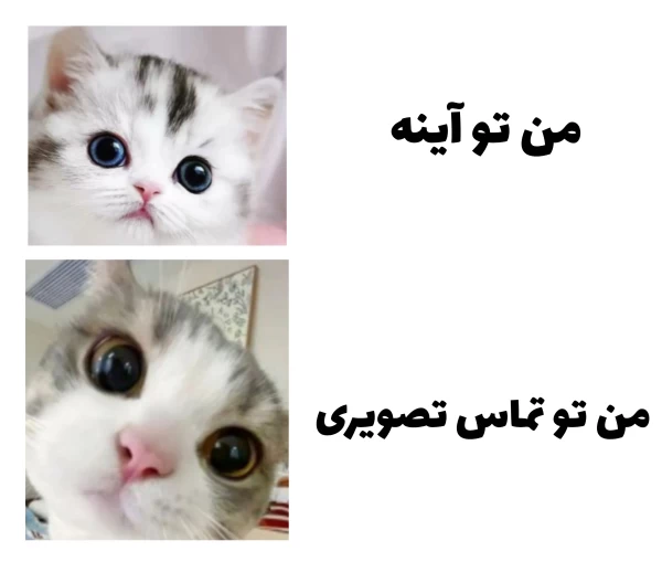 عکس