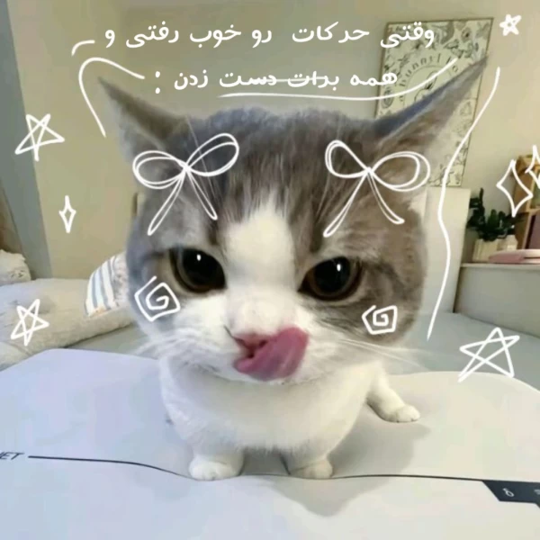 عکس