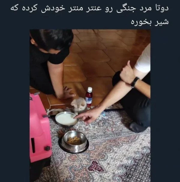 عکس