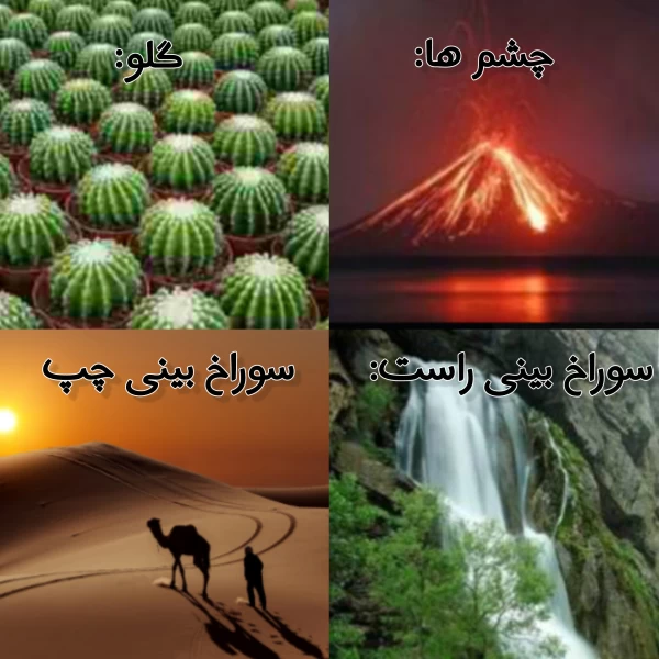 عکس