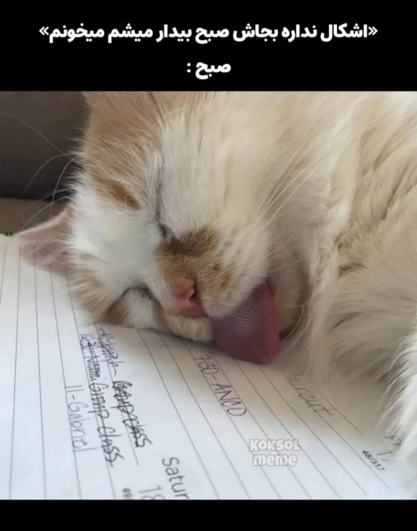 عکس