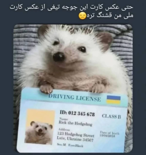 عکس