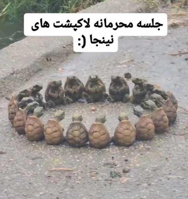 عکس