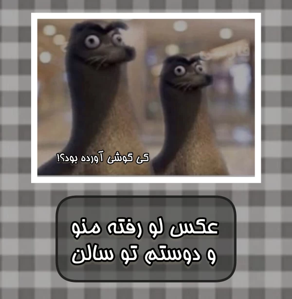 عکس