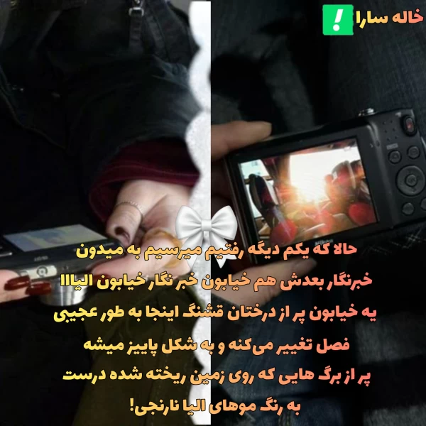 عکس