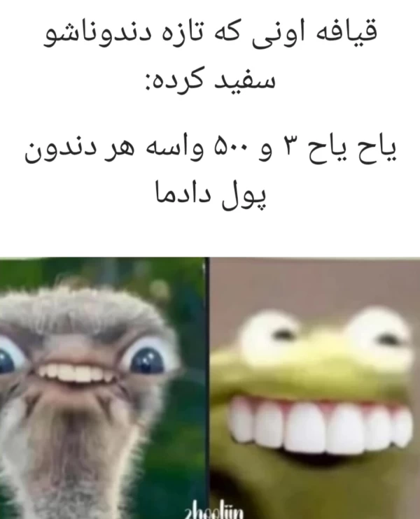 عکس