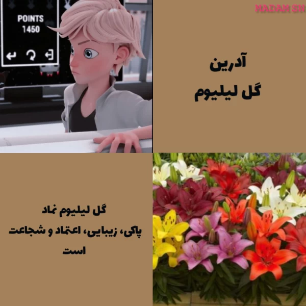 عکس