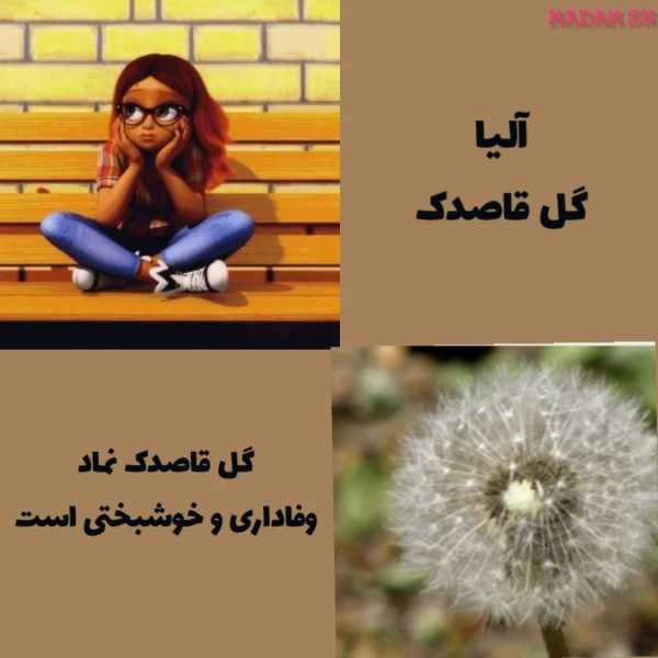 عکس
