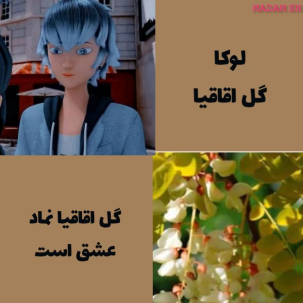 عکس