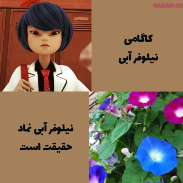 عکس