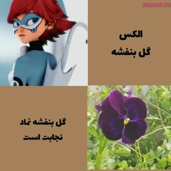 عکس