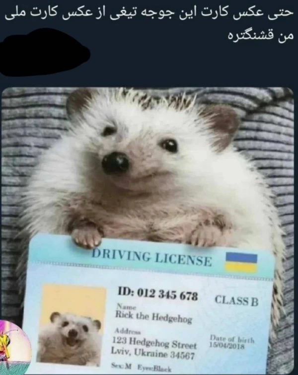 عکس