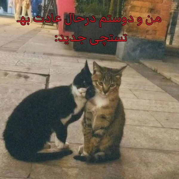 عکس