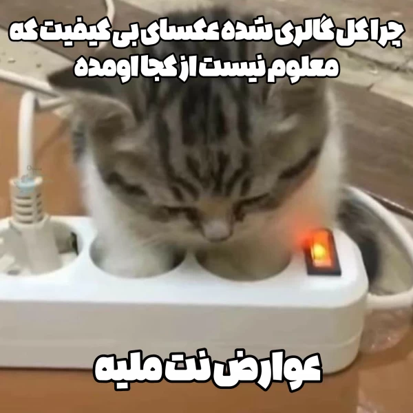 عکس