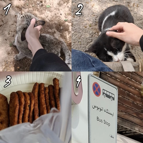 عکس
