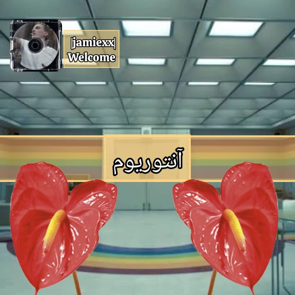 عکس