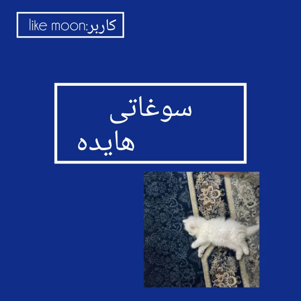 عکس
