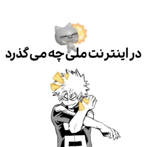 عکس در اینترنت ملی چه میگذرد.