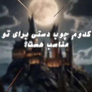 عکس کدوم چوب دستی برات مناسبه؟